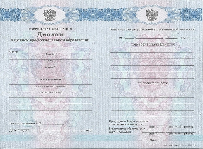 Диплом технолога 2011-2013 года
